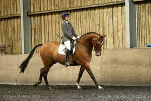 Isis Dressage Crown Farm Show 29th April 2012